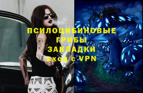 гидропоника Вязьма