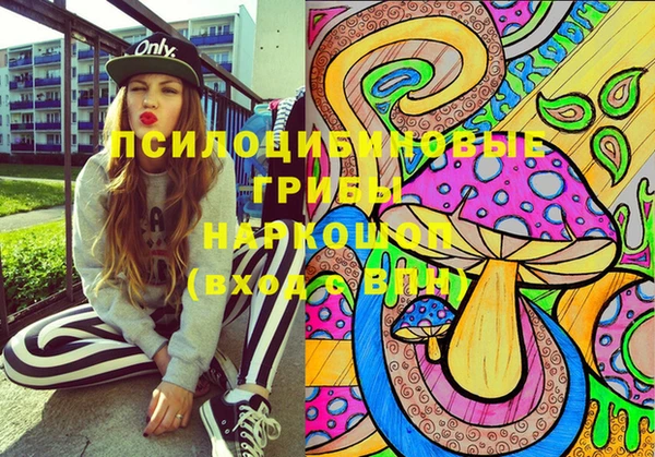 прущий лед Горняк