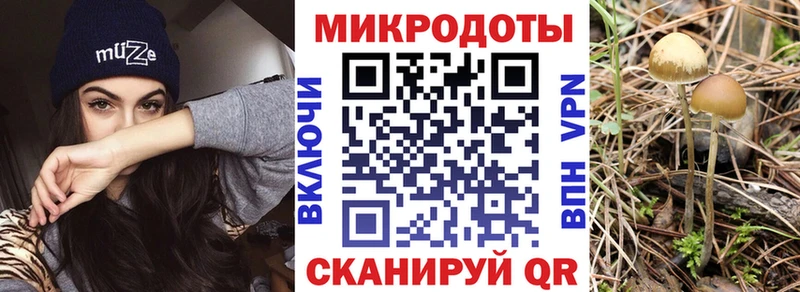 Купить Кинель Псилоцибиновые грибы ЛСД