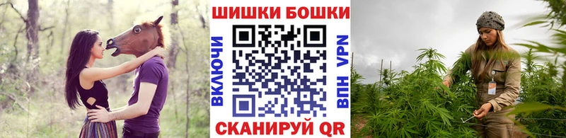 Каннабис Amnesia  Купить закладки  Кинель 